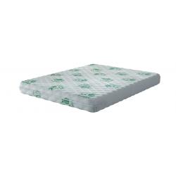 Motion Orthopaedic Coco Flex